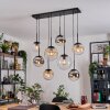 Gastor hanging light, globe light, pendant light Amber, chrome, clear, Smoke-coloured, 8-light sources