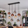 Gastor hanging light, globe light, pendant light Amber, chrome, clear, coppery, Smoke-coloured, 8-light sources