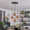 Ripoll hanging light, globe light, Cluster pendant lamp coppery, 4-light sources