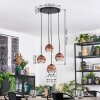 Ripoll hanging light, globe light, Cluster pendant lamp clear, coppery, 4-light sources