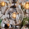 Gastor hanging light, globe light, pendant light Amber, chrome, clear, Smoke-coloured, 8-light sources