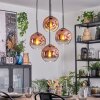 Ripoll hanging light, globe light, Cluster pendant lamp clear, coppery, 4-light sources