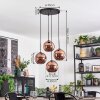 Ripoll hanging light, globe light, Cluster pendant lamp coppery, 4-light sources