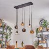 Koyoto hanging light, globe light, pendant light Amber, chrome, clear, Smoke-coloured, 6-light sources