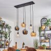 Koyoto hanging light, globe light, pendant light Amber, chrome, clear, Smoke-coloured, 6-light sources
