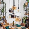 Koyoto hanging light, globe light, pendant light Amber, chrome, clear, Smoke-coloured, 6-light sources