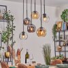 Ripoll hanging light, globe light, pendant light Amber, clear, Smoke-coloured, 6-light sources