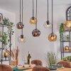 Ripoll hanging light, globe light, pendant light Amber, clear, Smoke-coloured, 6-light sources
