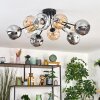 Ripoll ceiling light, globe light Amber, clear, Smoke-coloured, 10-light sources