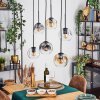 Ripoll hanging light, globe light, pendant light Amber, clear, Smoke-coloured, 6-light sources
