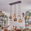 Ripoll hanging light, globe light, pendant light Amber, clear, Smoke-coloured, 6-light sources