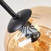 Ripoll ceiling light, globe light Amber, clear, Smoke-coloured, 8-light sources