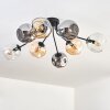 Ripoll ceiling light, globe light Amber, clear, Smoke-coloured, 8-light sources