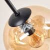 Ripoll ceiling light, globe light Amber, Smoke-coloured, 10-light sources