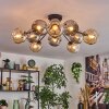 Ripoll ceiling light, globe light Amber, Smoke-coloured, 10-light sources
