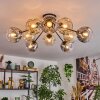 Ripoll ceiling light, globe light Amber, clear, Smoke-coloured, 10-light sources