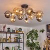 Ripoll ceiling light, globe light Amber, clear, Smoke-coloured, 12-light sources