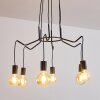 Cuyama Pendant Light black, 6-light sources