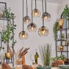 Ripoll hanging light, globe light, pendant light Amber, clear, Smoke-coloured, 6-light sources