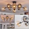 Koyoto ceiling light, globe light 86 cm Amber, clear, Smoke-coloured, 8-light sources