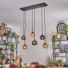 Ripoll hanging light, globe light, pendant light Amber, Smoke-coloured, 6-light sources