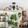 Koyoto ceiling light, globe light 86 cm Amber, chrome, clear, Smoke-coloured, 8-light sources