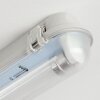 Ilena outdoor ceiling light, outdoor light, bathroom light, spotlight, ceiling light LED grey, 1-light source