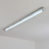 Ilena outdoor ceiling light, outdoor light, bathroom light, spotlight, ceiling light LED grey, 1-light source