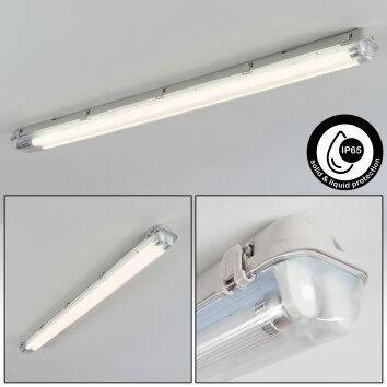 Ilena outdoor ceiling light, outdoor light, bathroom light, spotlight, ceiling light LED grey, 1-light source