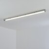Ilena outdoor ceiling light, outdoor light, bathroom light, spotlight, ceiling light LED grey, 1-light source