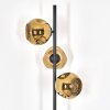 Ripoll globe light, floor lamp gold, 3-light sources