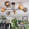 Ripoll ceiling light, globe light Amber, Smoke-coloured, 6-light sources