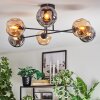 Ripoll ceiling light, globe light Amber, Smoke-coloured, 6-light sources
