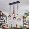Koyoto hanging light, globe light, pendant light Amber, clear, Smoke-coloured, 6-light sources