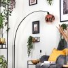 Ripoll globe light, floor lamp, Arch lamps black, 1-light source
