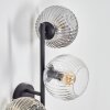 Ripoll globe light, wall light Amber, clear, Smoke-coloured, 3-light sources