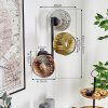 Ripoll globe light, wall light gold, clear, coppery, Smoke-coloured, 3-light sources