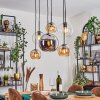 Koyoto hanging light, globe light, pendant light Amber, chrome, clear, Smoke-coloured, 6-light sources