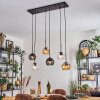 Koyoto hanging light, globe light, pendant light Amber, clear, Smoke-coloured, 6-light sources