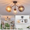 Koyoto ceiling light, globe light Amber, clear, Smoke-coloured, 3-light sources