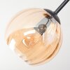 Koyoto ceiling light, globe light Amber, clear, Smoke-coloured, 3-light sources