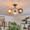 Koyoto ceiling light, globe light Amber, clear, Smoke-coloured, 3-light sources