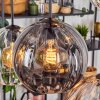 Koyoto hanging light, globe light, pendant light Amber, clear, Smoke-coloured, 6-light sources