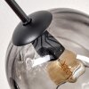 Koyoto ceiling light, globe light 85 cm clear, Smoke-coloured, 8-light sources