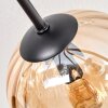 Koyoto ceiling light, globe light 85 cm Amber, clear, Smoke-coloured, 8-light sources