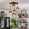Koyoto ceiling light, globe light clear, Smoke-coloured, 5-light sources