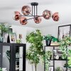Ripoll ceiling light, globe light clear, coppery, 6-light sources