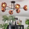 Ripoll ceiling light, globe light clear, coppery, 6-light sources