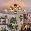 Koyoto ceiling light, globe light 85 cm Amber, clear, Smoke-coloured, 8-light sources