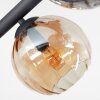 Koyoto ceiling light, globe light Amber, clear, Smoke-coloured, 10-light sources